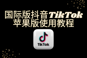 示例图片 2